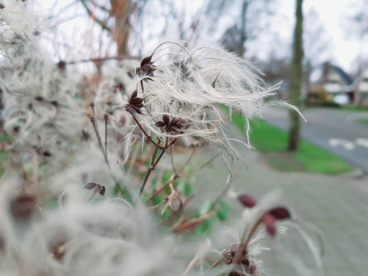 Zachtheid - Workin'wonder