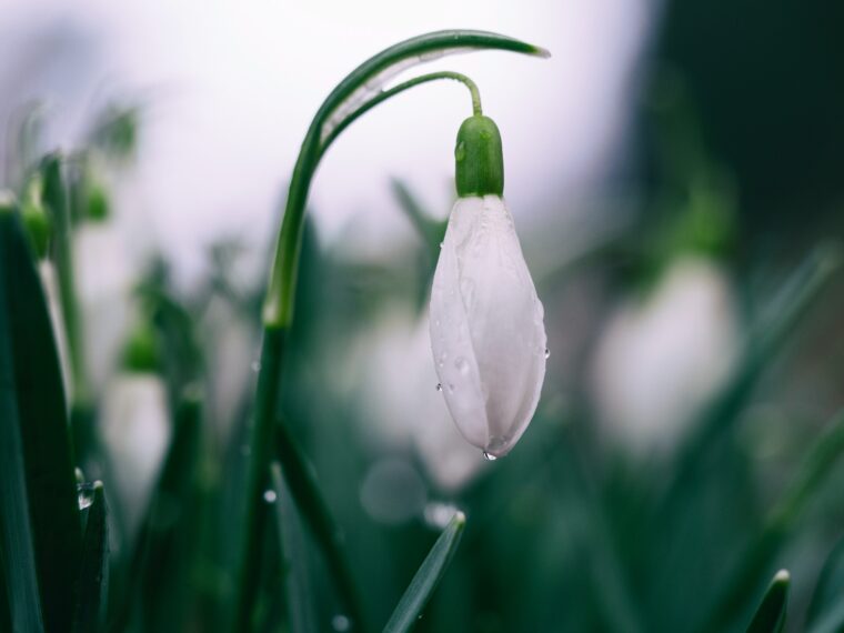 spelen in de lente